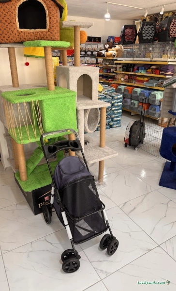 Kuzey Petshop