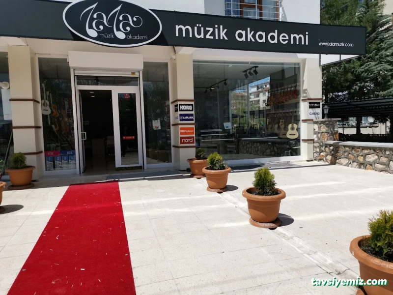 Lala Müzik Akademi
