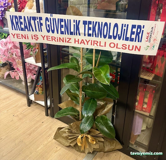 Lale Çiçekçilik