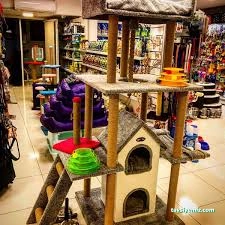 Lara Pet Center Lara Pet Center