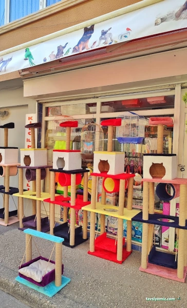 Linda Petshop