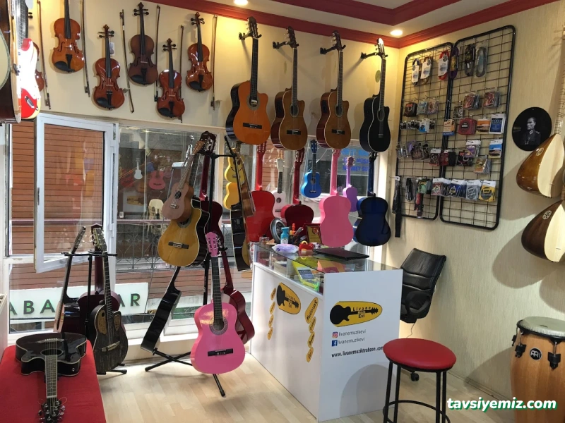 Livane Müzik Evi Livane Müzik Evi