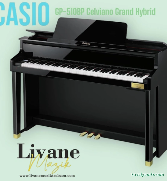 Livane Müzik Evi