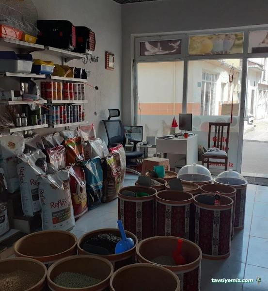 Lockam Petshop