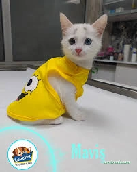 Lovepet Veteriner Kliniği Lovepet Veteriner Kliniği