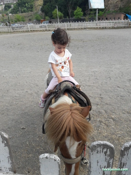 Macera Adası Macera Adası