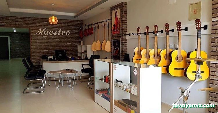 Maestro Müzik Evi Maestro Müzik Evi