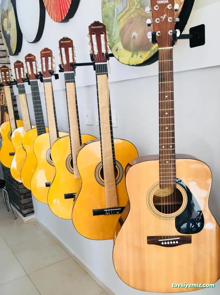 Maestro Müzik Evi Maestro Müzik Evi