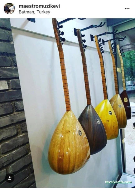 Maestro Müzik Evi Maestro Müzik Evi