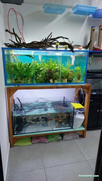 Mako Akvaryum