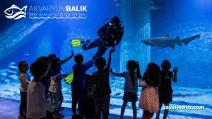 Mako Akvaryum
