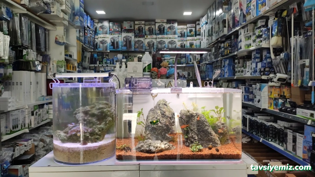 Malawi İzmir Akvaryum Ve Pet Ürünleri Malawi İzmir Akvaryum Ve Pet Ürünleri