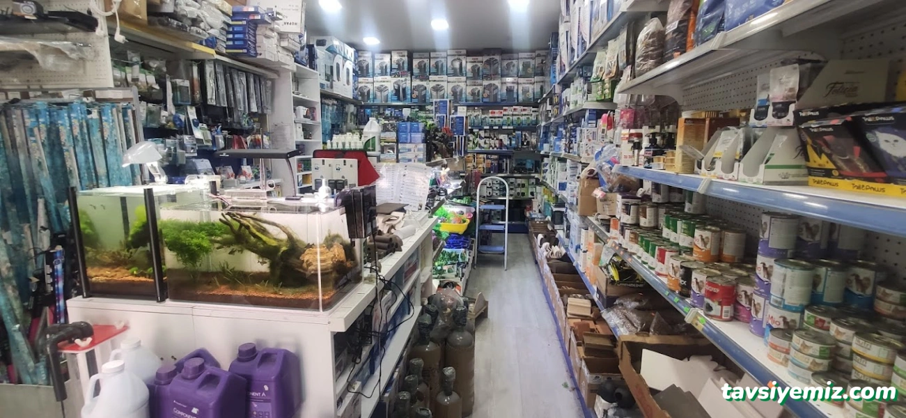Malawi İzmir Akvaryum Ve Pet Ürünleri Malawi İzmir Akvaryum Ve Pet Ürünleri