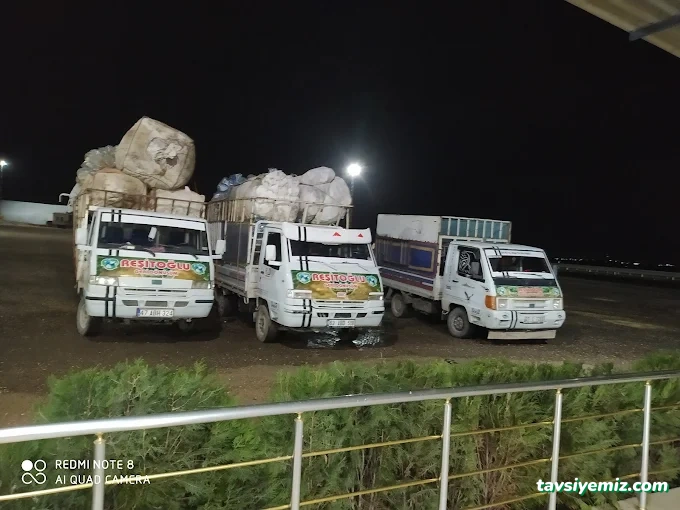 Mardin Kağıt Hurda - Reşitoğlu Mardin Kağıt Hurda - Reşitoğlu