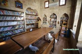 Mardin Sahaf Mardin Sahaf