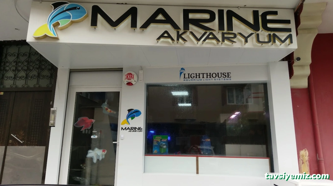 Marıne Akvaryum Sıstemlerı Marıne Akvaryum Sıstemlerı