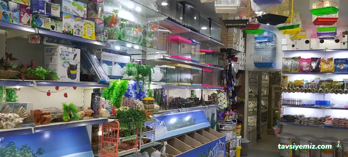 Mavi Ada Petshop