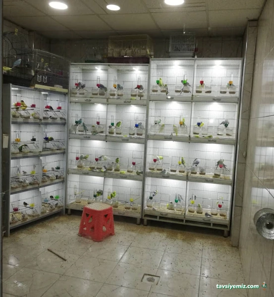Mavi Tuna Pet Shop