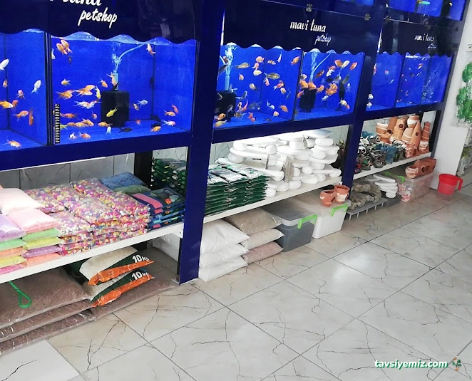 Mavi Tuna Pet Shop
