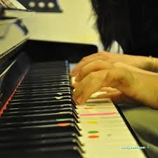 Meb Özel Taksim Sanat Evi Müzik Kursu Meb Özel Taksim Sanat Evi Müzik Kursu