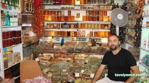 Mehmet Yaman Aktar Sıfalı Bıtkıler Mehmet Yaman Aktar Sıfalı Bıtkıler