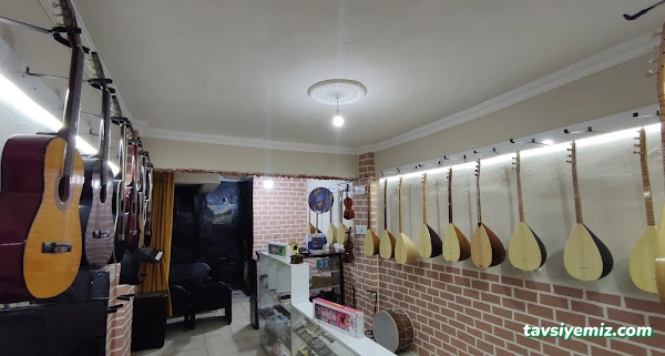 Melodica Müzik Evi Melodica Müzik Evi