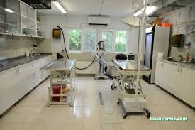 Merkez Veteriner Kliniği Merkez Veteriner Kliniği