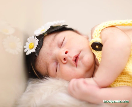 Mert Adam Fotoğrafçılık Mert Adam Fotoğrafçılık