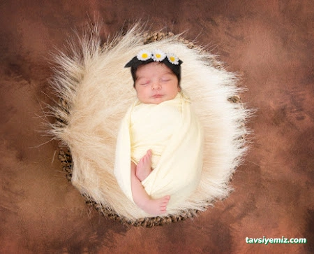 Mert Adam Fotoğrafçılık Mert Adam Fotoğrafçılık