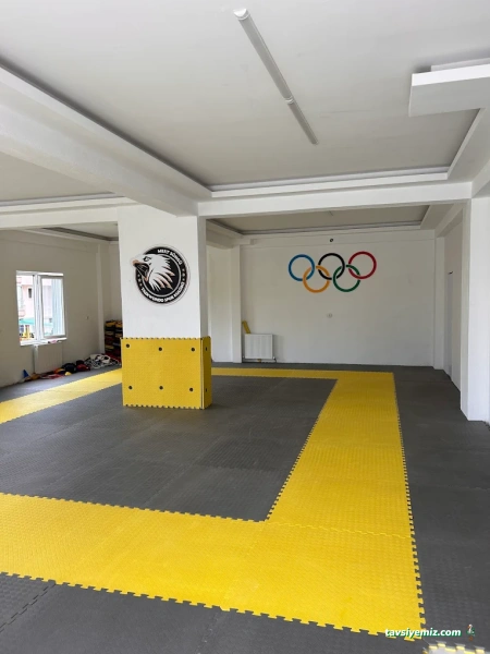 Mert Süngü Taekwondo Mert Süngü Taekwondo