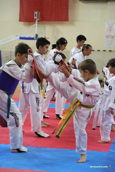 Mert Süngü Taekwondo Mert Süngü Taekwondo