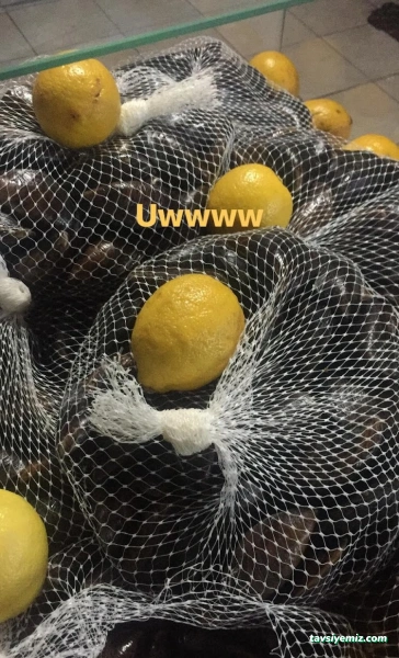 Midye 14 Midye 14