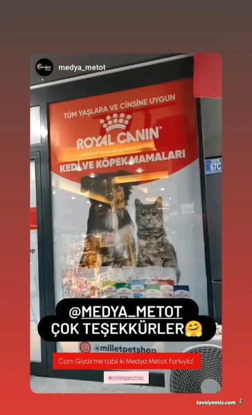 Millet Petshop