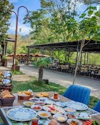 Misi Yaşam