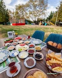 Misi Yaşam