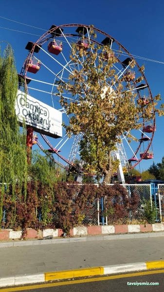 Mişmiş Park