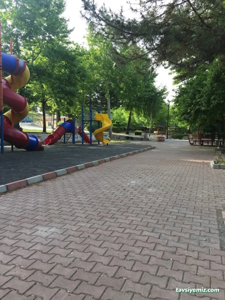 Mişmiş Park