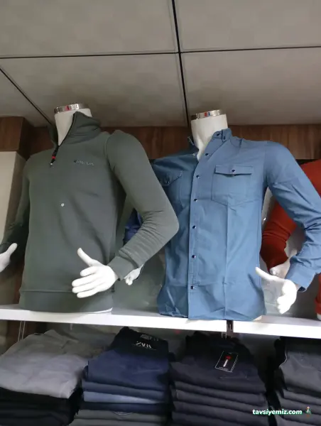 Modalin Collection