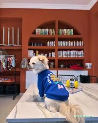 Moons Pet Store & Pet Care Moons Pet Store & Pet Care