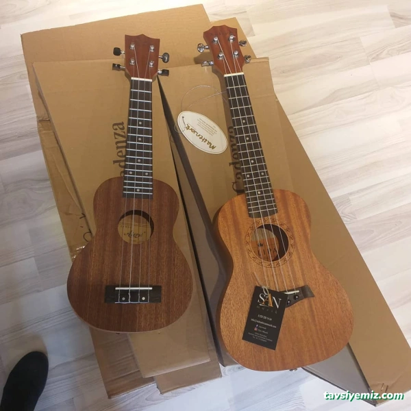 Murat Durmaz Müzik Evi Murat Durmaz Müzik Evi