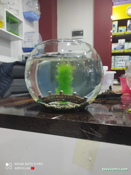 Muş Petshop Muş Petshop