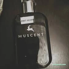 Muscent Perfume Kütahya Sera Avm Muscent Perfume Kütahya Sera Avm