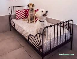Mutlu Patiler Kedi Köpek Oteli Mutlu Patiler Kedi Köpek Oteli