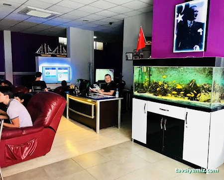 My Life Playstation Cafe My Life Playstation Cafe