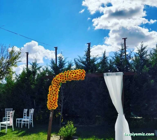 Narçiçeği Kır Bahçesi Narçiçeği Kır Bahçesi
