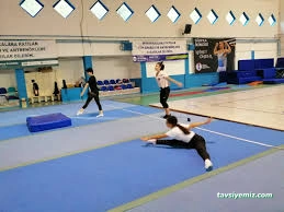 Necmi Uztürk Spor Salonu Necmi Uztürk Spor Salonu