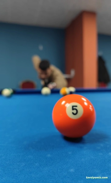 Neil Bîlardo Salonu Neil Bîlardo Salonu