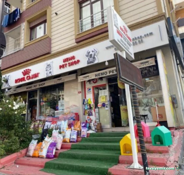 Nemo Pet Shop
