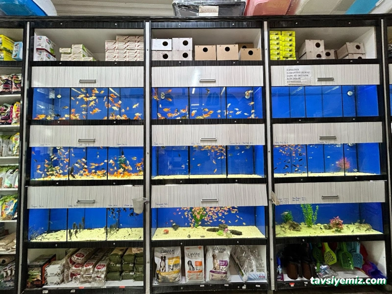 Nevşehir Okyanus Petshop Nevşehir Okyanus Petshop