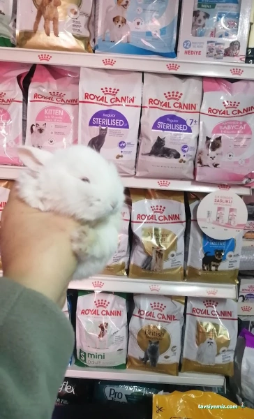 Nihal Pet Shop